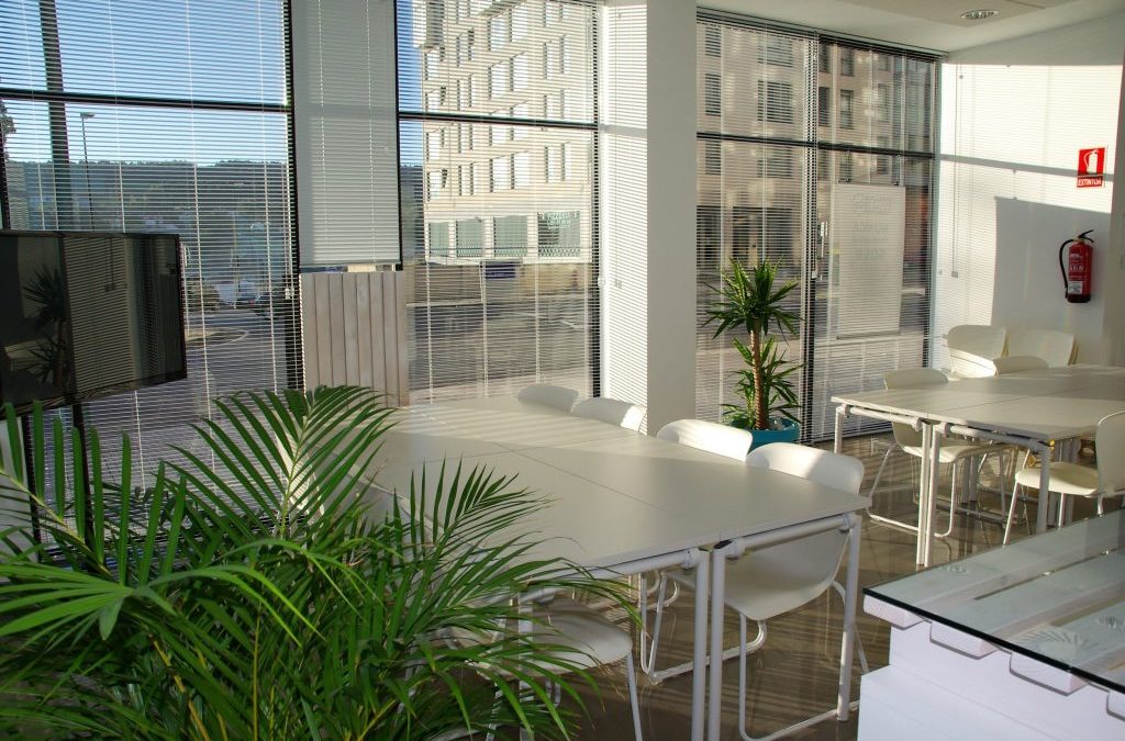Importance of plants in the workplace