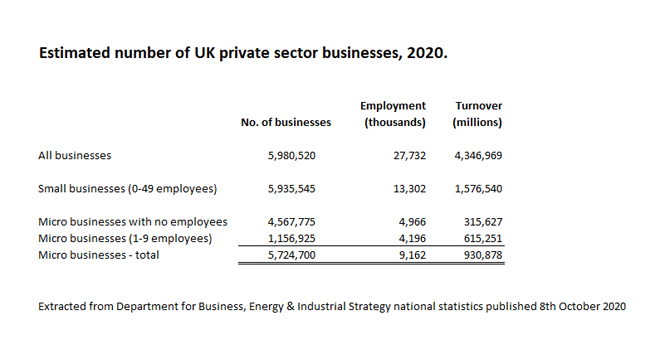 Statistics showing the number of small businesses in the private sector