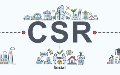 What does CSR mean to Wellity?